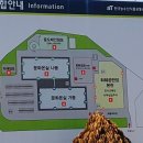 양지화훼