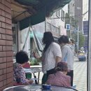 최신탕