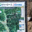 하나로마트(성당) Daum카페