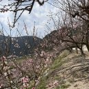 한천농장 이미지