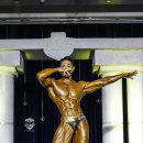 울트라 짐 이미지