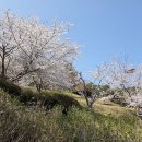 이순신공원 바다화장실 이미지