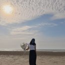서천 월하성어촌체험마을 야광충 본 후기 춘장대해수욕장