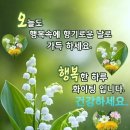크랩나라 네이버블로그