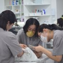 고양이병원 소설 이미지