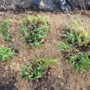 재분농장 이미지