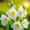 오늘의 역사 (9월 12일) 이미지