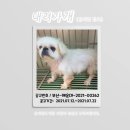 재송동물병원 이미지