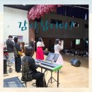 월락초등학교 Daum카페