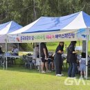 칠백 이미지