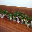 법원로 15 이미지