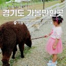 귀분목장 | 경기도 가볼만한곳 가평 양떼목장 카페