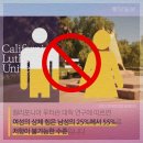 차이나면 이미지