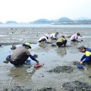 신시도어촌체험휴양마을 이미지