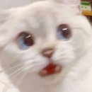 쿠이씽
