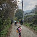 세움아이유치원 | [더반한] 용인 세움 어린이집/용인 숲 어린이집/ 용인 숲 유치원/ 부모 참여 수업 후기 /만 4세 아동/