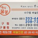 대티물꽁 이미지