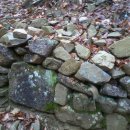 벽천농장 이미지