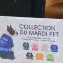 모토디자인 | 성수동 핫플 마르디메크르디(Mardi Mercredi) 아트 팝업 '딴지와 모토' 다녀온 솔직 후기