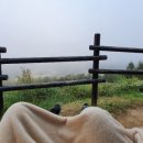 동강전망자연휴양림 이미지