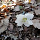 (산행) 내변산을 걷다 (2015년3월7일).