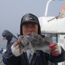 피쉬팩토리 이미지