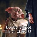 원스텝로드