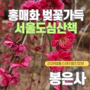 로아스테이 - 수원시 권선구 평동로 100-9 | 봉은사 홍매화 봉은사 템플스테이 봉은사 주차 2026템플스테이 할인 이벤트
