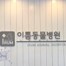아담동물병원 네이버블로그