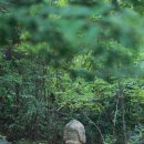 월계공원묘지 이미지