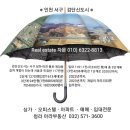 인천시 서구 검단신도시 공원조성계획 발표- - 보전산림 활용한 에코힐링도시 조성 이미지