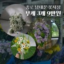 서울 종로 남대문 꽃시장 가성비 가격 영업시간 토요일 방문 - 촬영 부케는? 에덴화원