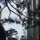 개포 대장아파트 디에이치퍼스티어아이파크 임장후기