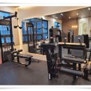 선샤인 피티샵 이미지