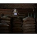 영신정미소 이미지