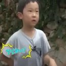 플리씨