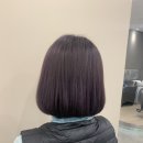 블랑제니 이미지