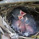 새인농장 이미지