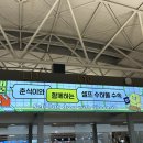 4407 | 제주항공 7C4407 보홀행 탑승 후기, 인천공항 카운터 위치, 게이트, 셀프 수하물