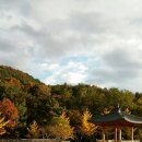 대구수목원 이미지
