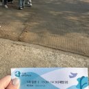 1.1 특별한 새해맞이 북한뷰 스타벅스 애기봉생태공원점 ☕️ /평화생태 전시관 관람 후기✏️