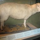 Being Fore 이미지