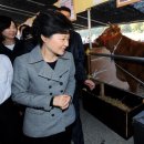 대선축산 이미지