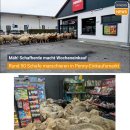 베스트마트 이미지