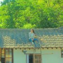 리틀포레스트 - 양양군 복골길 128 | 리틀포레스트