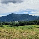 용강목장2 이미지