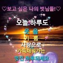 어인남로 이미지
