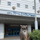 에메랄드호텔 | 일본 미야코지마 숙소 아톨에메랄드 호텔 후기 다다미방 vs 침대방