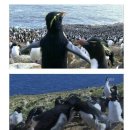 펭귄PC방 이미지