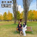 예산초 단풍나무길 | 경기도 여주 강천섬 단풍 은행나무길 실시간 후기